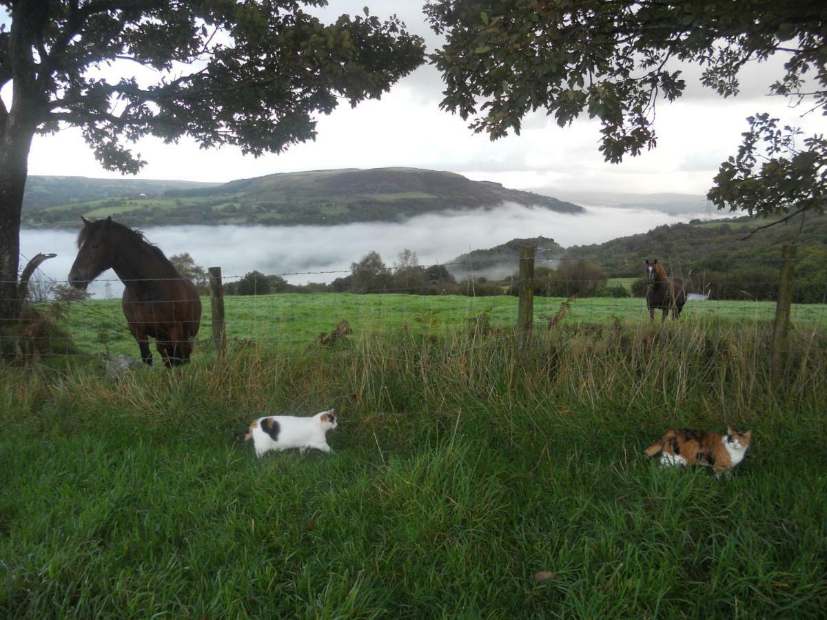 1 Tan Yr Eglwys Barn Cottage Pontardawe Exteriör bild