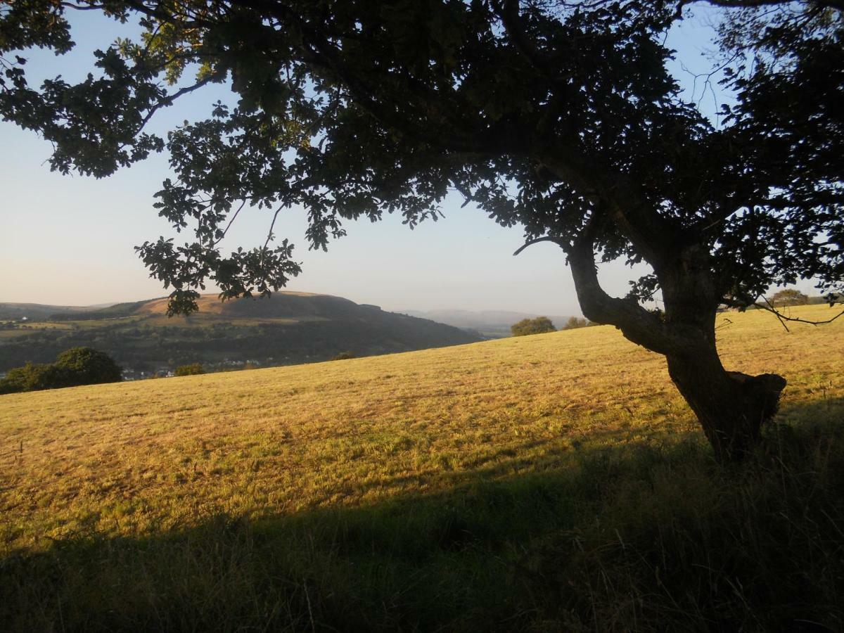 1 Tan Yr Eglwys Barn Cottage Pontardawe Exteriör bild